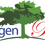 Oxygen Resort
